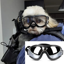 Alternate view of the Cycling Dog Goggles