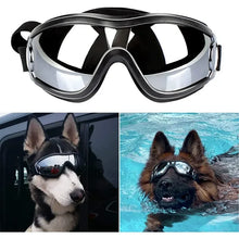 Cycling Dog Goggles, product photo 3 of 7