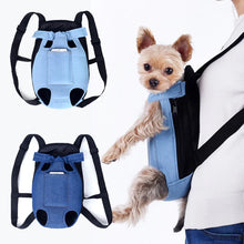 dog using a blue pet backpack