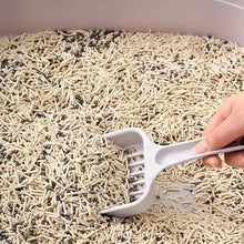 Deodorant Beads for Cat Litter Box, product photo 8 of 20