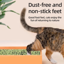 Deodorant Beads for Cat Litter Box, product photo 9 of 20