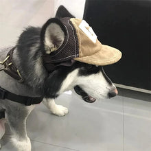 Dog Baseball Cap for Sun Protection, product photo 6 of 7