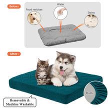 dog enjoying their bed with features