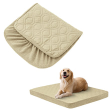 dog sitting on a cream coloured bed with folded cover on the side on a white background