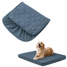 dog sitting on a grey bed with a folded cover displayed on the side on a white background
