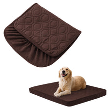 dog sitting on a brown bed with a folded cover display on a white background