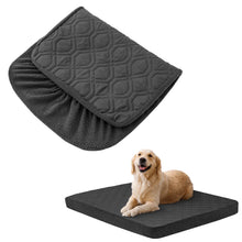 dog laying down on a black bed on a white background