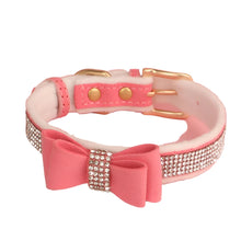Dog Bow and Jeweled Collar