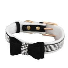 Dog Bow and Jeweled Collar in Black