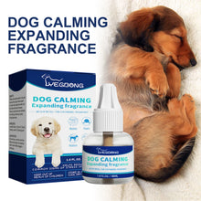 Alternate view of the Dog Calming Expanding Fragrance
