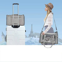 Dog Carrier, product photo 7 of 8