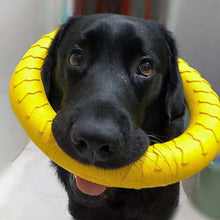 Alternate view of the Dog Chewing Ring Toys