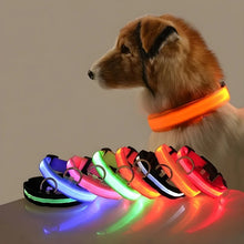 Alternate view of the Dog Collar with LED Light