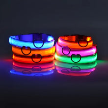 Dog Collar with LED Light, product photo 4 of 11