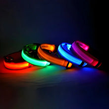Dog Collar with LED Light, product photo 5 of 11