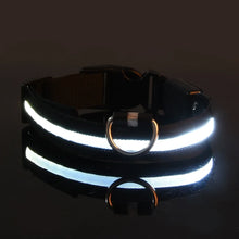 Dog Collar with LED Light, product photo 6 of 11