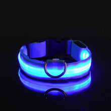 Dog Collar with LED Light in Blue