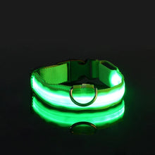 Dog Collar with LED Light in Green