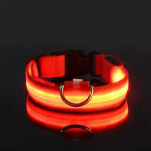 Dog Collar with LED Light in Red