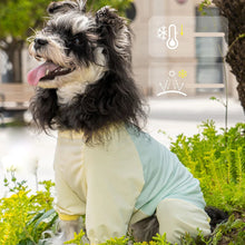Dog Cooling Vest for Summer, product photo 12 of 12