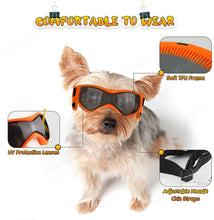 Dog Goggles For Medium and Small Breed, product photo 4 of 9