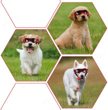 Dog Goggles For Medium and Small Breed, product photo 6 of 9