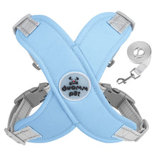 Alternate view of the Dog Harness and Leash Set