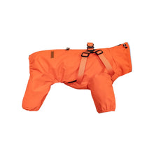 Dog Raincoat With Harness, product photo 3 of 5