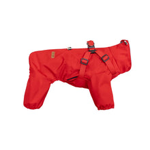 Dog Raincoat With Harness, product photo 4 of 5