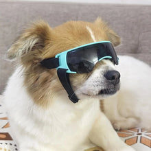 Dog Sunglasses Small Breed, product photo 5 of 8