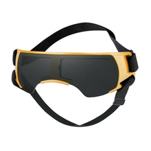 Dog Sunglasses Small Breed in Gold