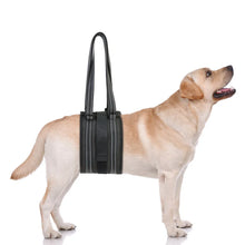 Dog Support Harness for Back Leg, product photo 3 of 8
