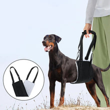 Dog Support Harness for Back Leg, product photo 5 of 8