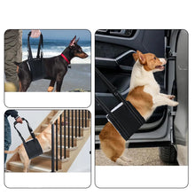 Dog Support Harness for Back Leg, product photo 6 of 8