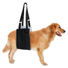 Dog Support Harness for Back Leg in Black