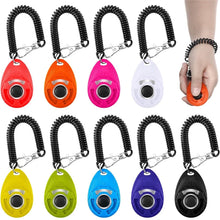 different colors of pet clicker with a hand holding pet clicker