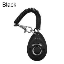 black color pet clicker