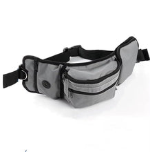Dog Training Waist Bag for Treats in Grey