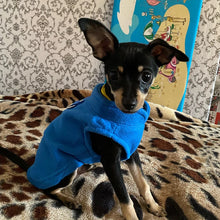 Dog Vest for Winter Clothing, product photo 11 of 14
