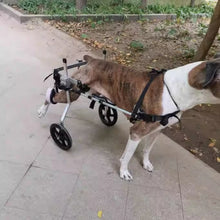 Dog Wheelchair For Mobility Training, product photo 4 of 5