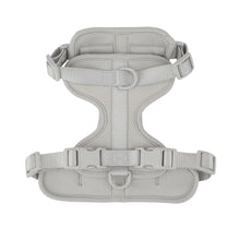 Dogs Adjustable Vest Strap Harness in Grey
