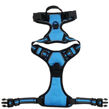Dogs Reflective Breathable Vest Strap in Sky Blue