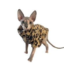 Double-Sided Fleece Sweater in Brown