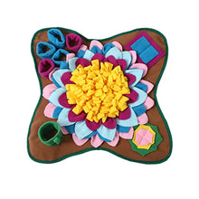 Durable Colourful Pet Snuffle Mat in Multi