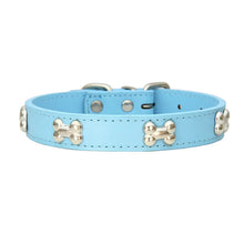 Durable Leather Collars for Pets in Sky Blue