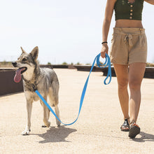 Durable Multicolour PVC Dog Leash, product photo 13 of 14