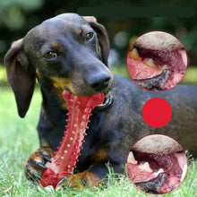 Durable Training Stiff Dog Chew Toy, product photo 3 of 6