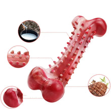 Durable Training Stiff Dog Chew Toy, product photo 4 of 6