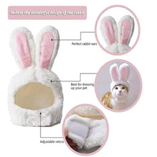 Easter Bunny Hat for Dogs and Cats, product photo 4 of 7