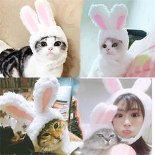 Easter Bunny Hat for Dogs and Cats, product photo 5 of 7